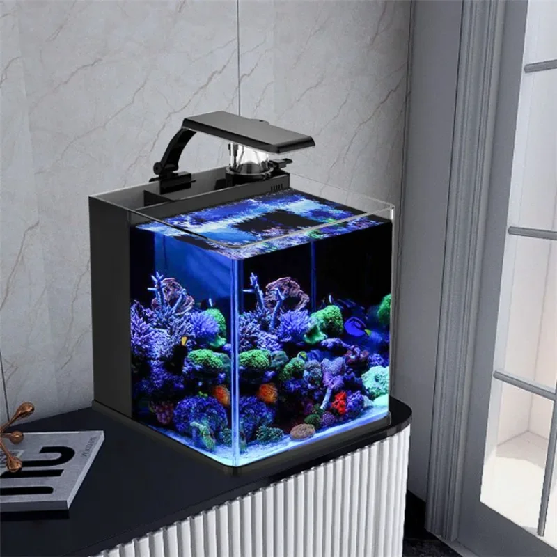 Aquarium Marine Fish For Sale - ตู้ปลาทะเลขนาดเล็ก กระจกใสพิเศษ สำหรับเลี้ยงปลาทะเล ขายดี