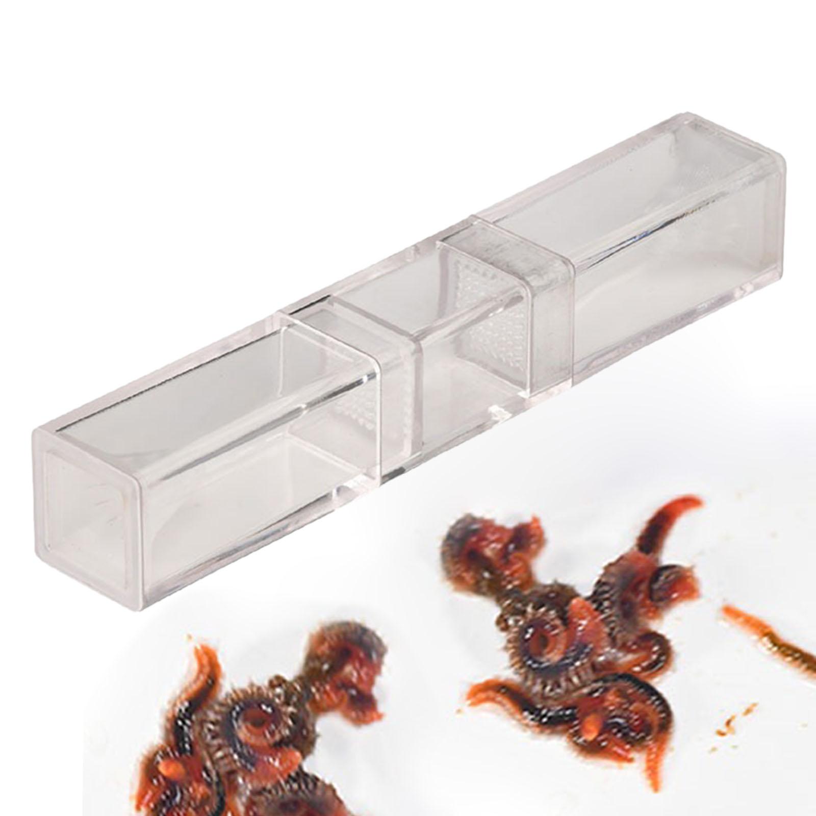 Marine Aquarium Worms - เครื่องดักหนอนปลาช่อนในตู้ปลาสำหรับตู้เชอร์รี่เชอร์ปิ้ง สำหรับตู้ปลาทะเลที่มีความเสถียร