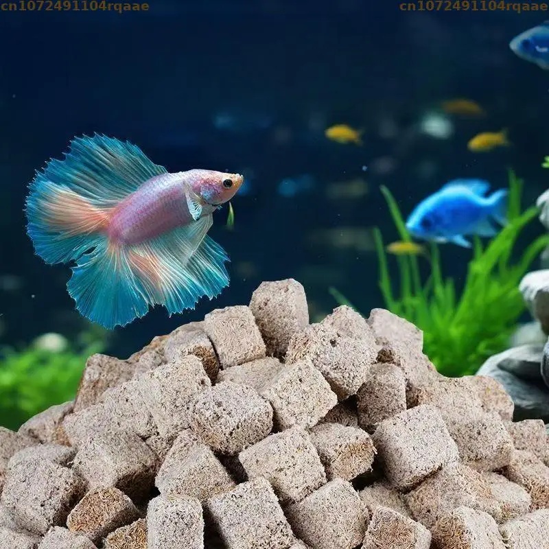หนอนเลือดอบแห้งแบบธรรมชาติ รูป - Marine Aquarium Worms บทวิจารณ์และราคา