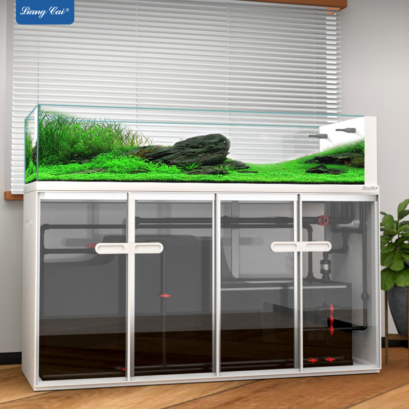 ตู้ปลาแก้วขนาดใหญ่ สไตล์โมเดิร - Aquarium Marine Fish For Sale บทวิจารณ์และราคา
