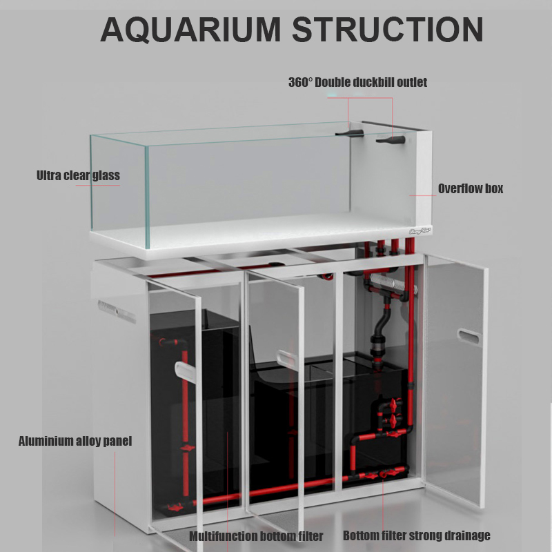 ตู้ปลาแก้วขนาดใหญ่ สไตล์โมเดิร - Aquarium Marine Fish For Sale บทวิจารณ์และราคา