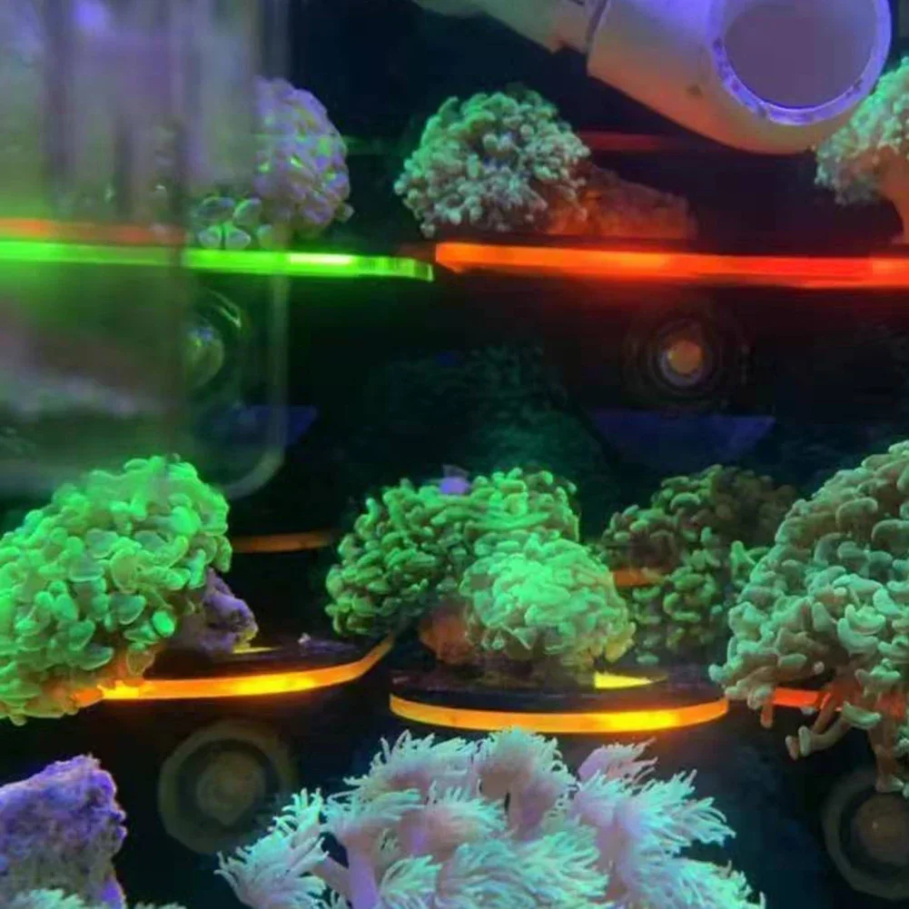 ที่ยึดปะการังอะคริลิคเรืองแสงส - Aquarium Marine Fishes บทวิจารณ์และราคา