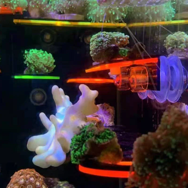 ที่ยึดปะการังอะคริลิคเรืองแสงส - Aquarium Marine Fishes บทวิจารณ์และราคา
