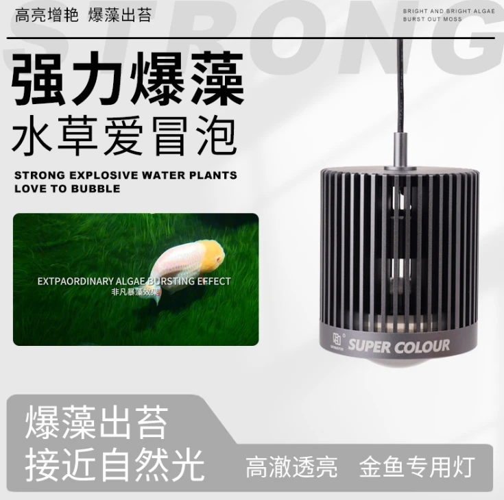 MAYIN LED Super สี 3D ขายร้อนถ - Aquarium Marine Fish For Sale บทวิจารณ์และราคา