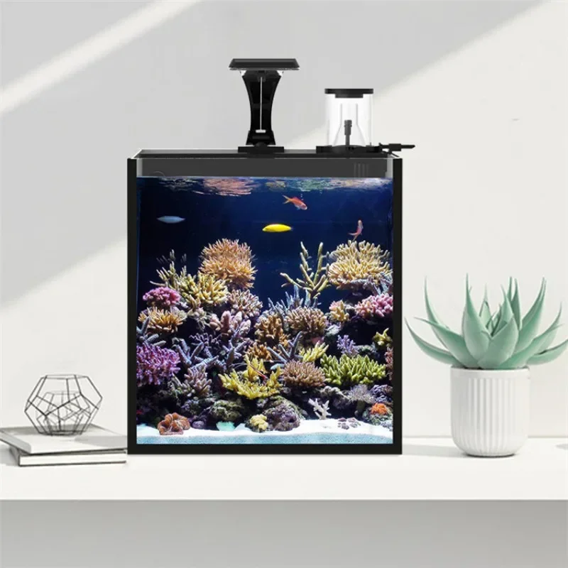 ตู้ปลาทะเลขนาดเล็ก กระจกใสพิเศ - Aquarium Marine Fish For Sale บทวิจารณ์และราคา