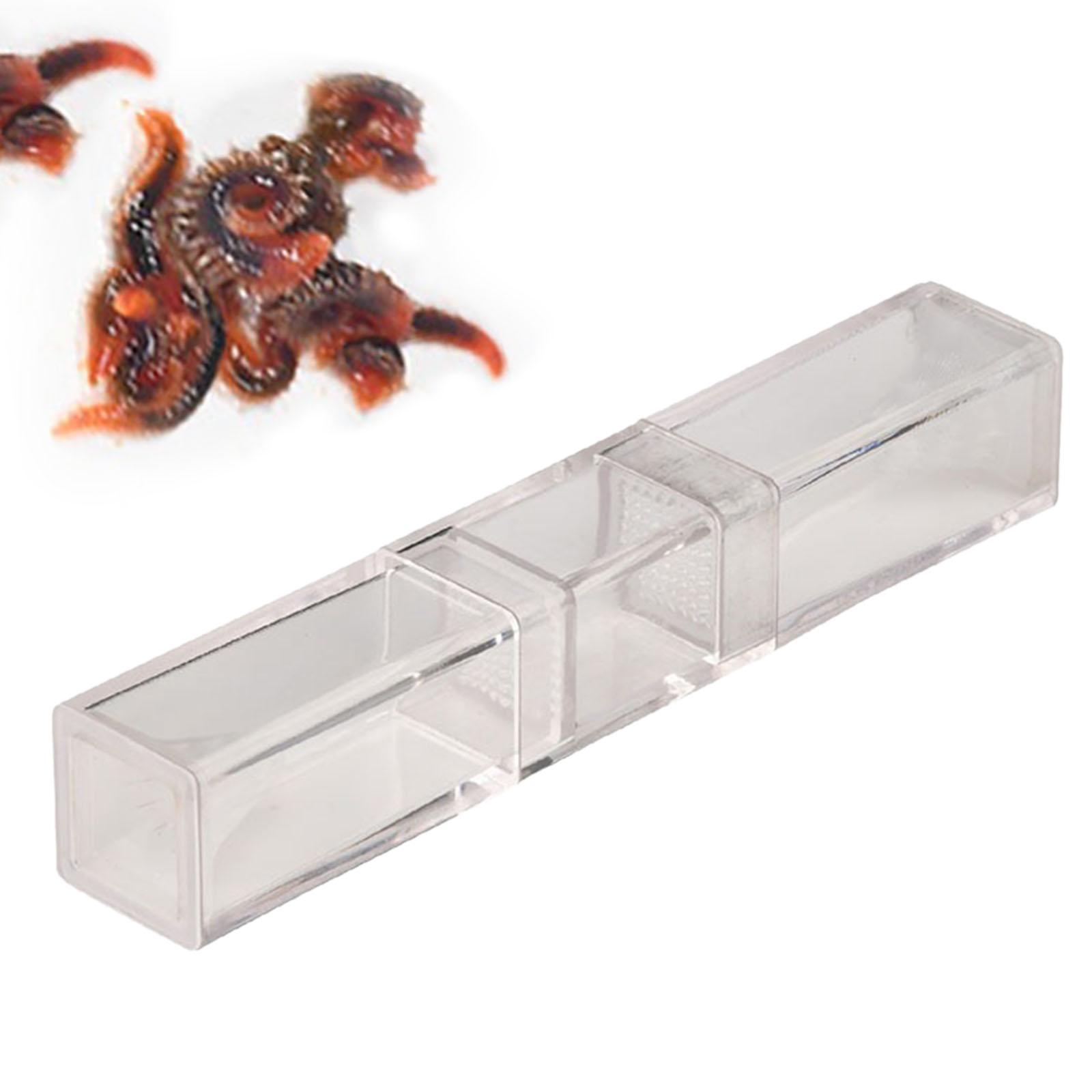 เครื่องดักหนอนปลาช่อนในตู้ปลาส - Marine Aquarium Worms บทวิจารณ์และราคา