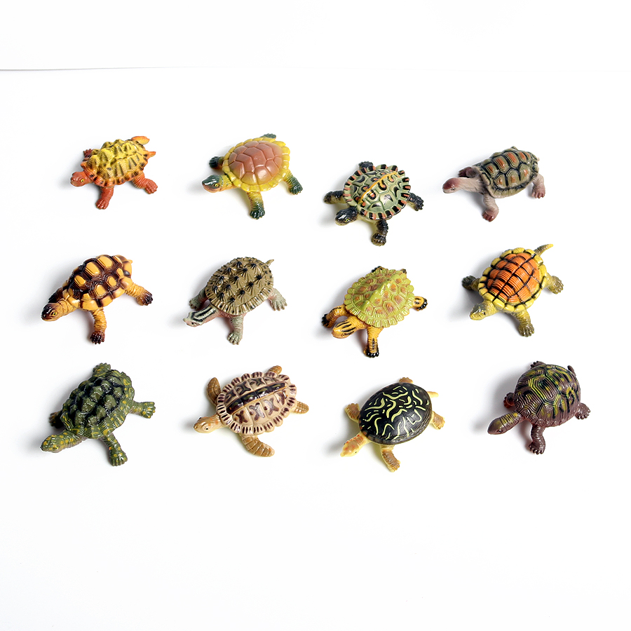 โมเดลเต่าทะเลขนาดเล็กเหมือนจริ - Aquarium Marine Fishes บทวิจารณ์และราคา