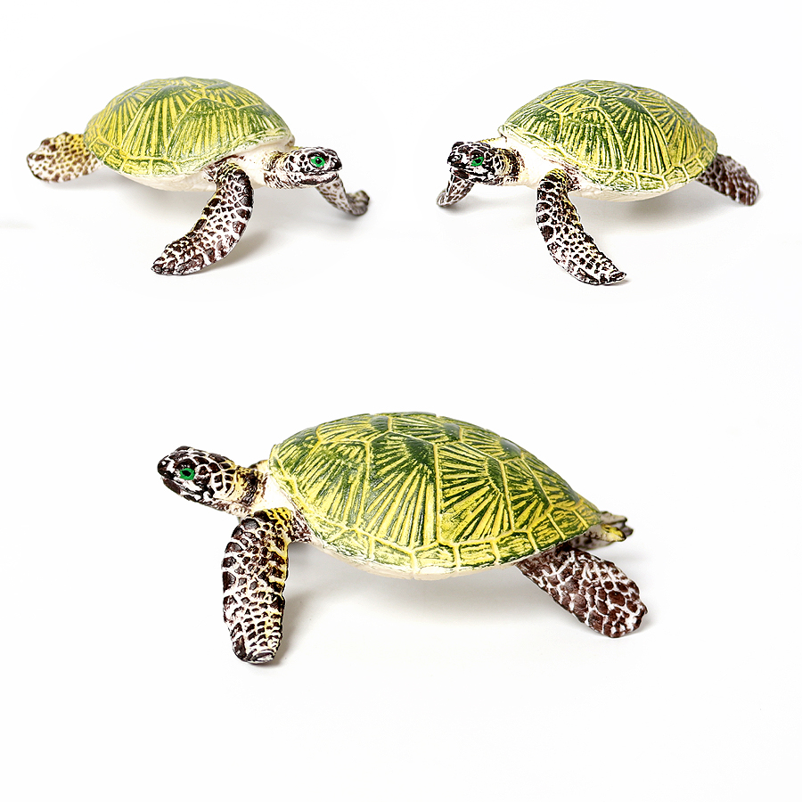 โมเดลเต่าทะเลขนาดเล็กเหมือนจริ - Aquarium Marine Fishes บทวิจารณ์และราคา